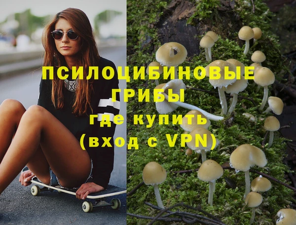 каннабис Арсеньев