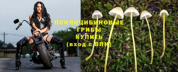 каннабис Арсеньев