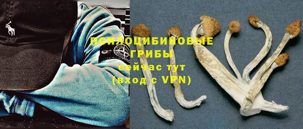 прущая мука Армянск