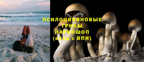 каннабис Арсеньев